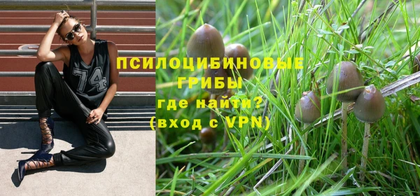 марки lsd Бугульма