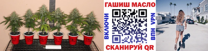 Купить  Гороховец  ТГК вейп с тгк 